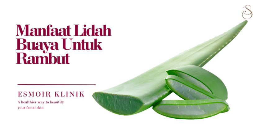 Manfaat Lidah Buaya untuk Rambut – Alami tapi Powerful