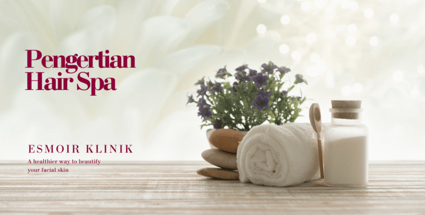 pengertian hair spa